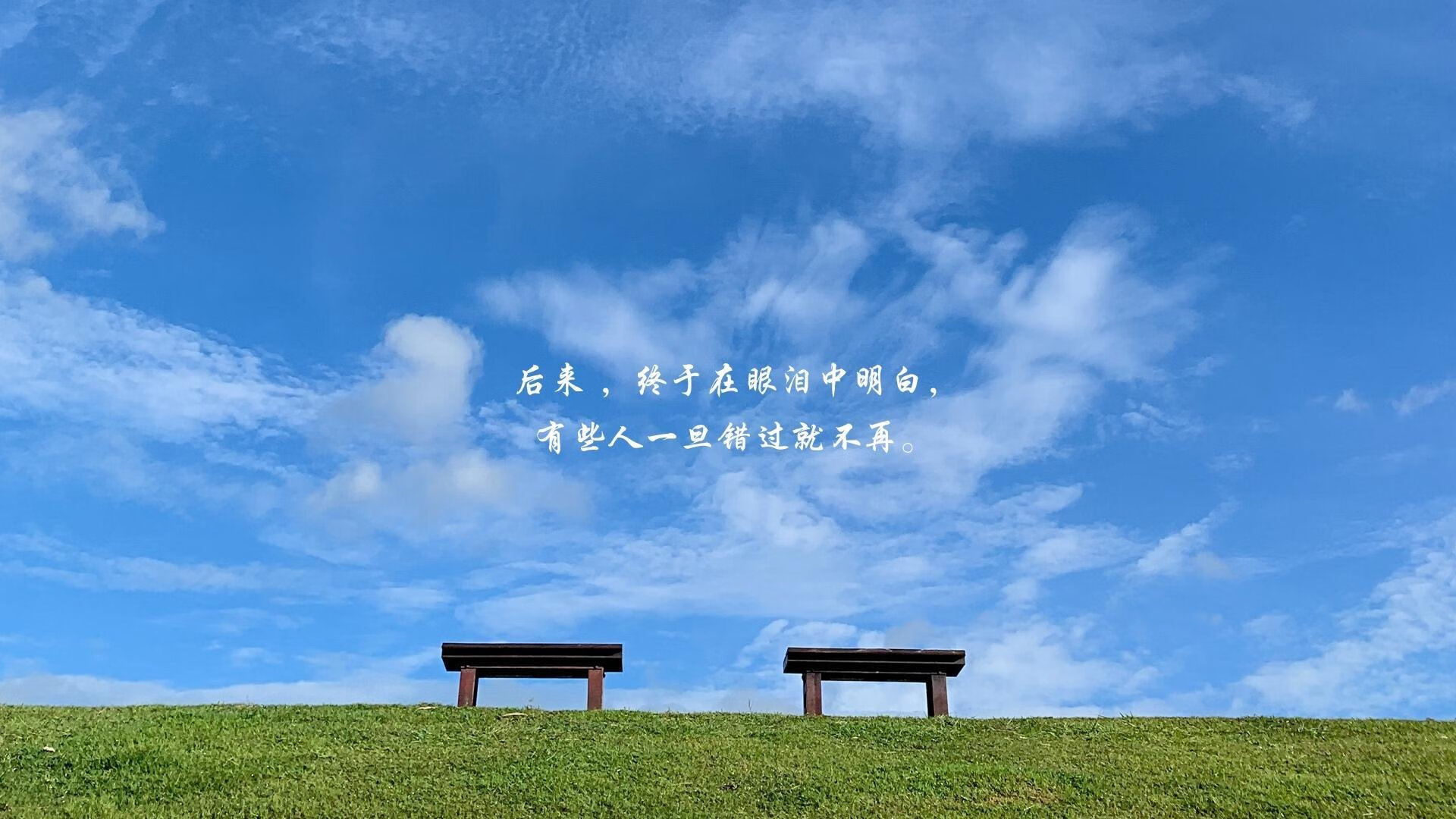 观众热捧选手风采，活动人气高涨，选手们各展风采