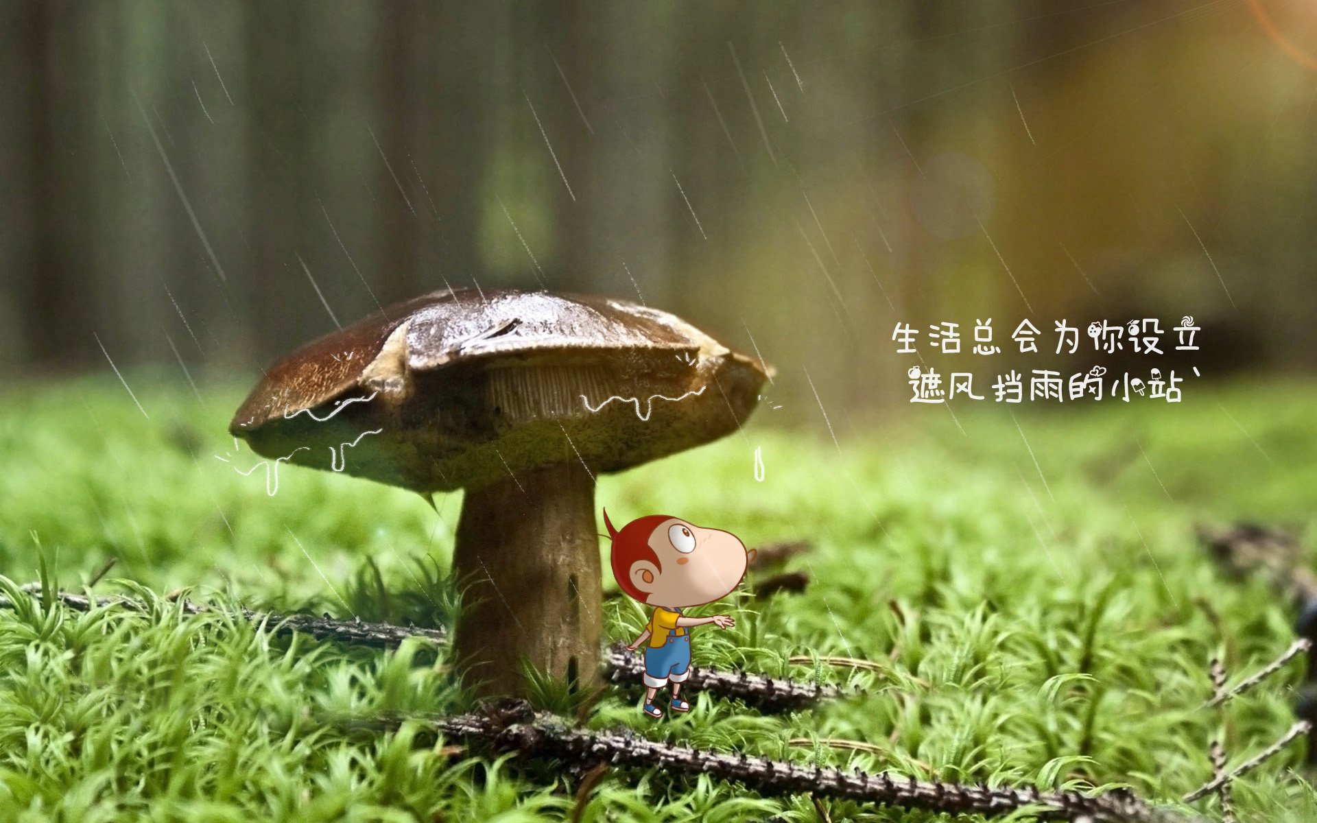 篮球运动员训练计划科学制定与效果评估，篮球训练计划制定步骤