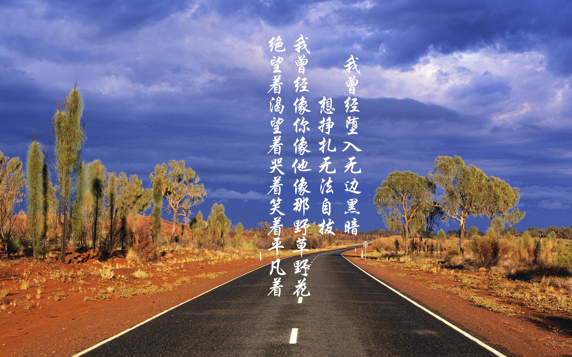 希腊女篮在欧洲锦标赛中表现出色,争夺金牌目标坚定,希腊 欧锦赛