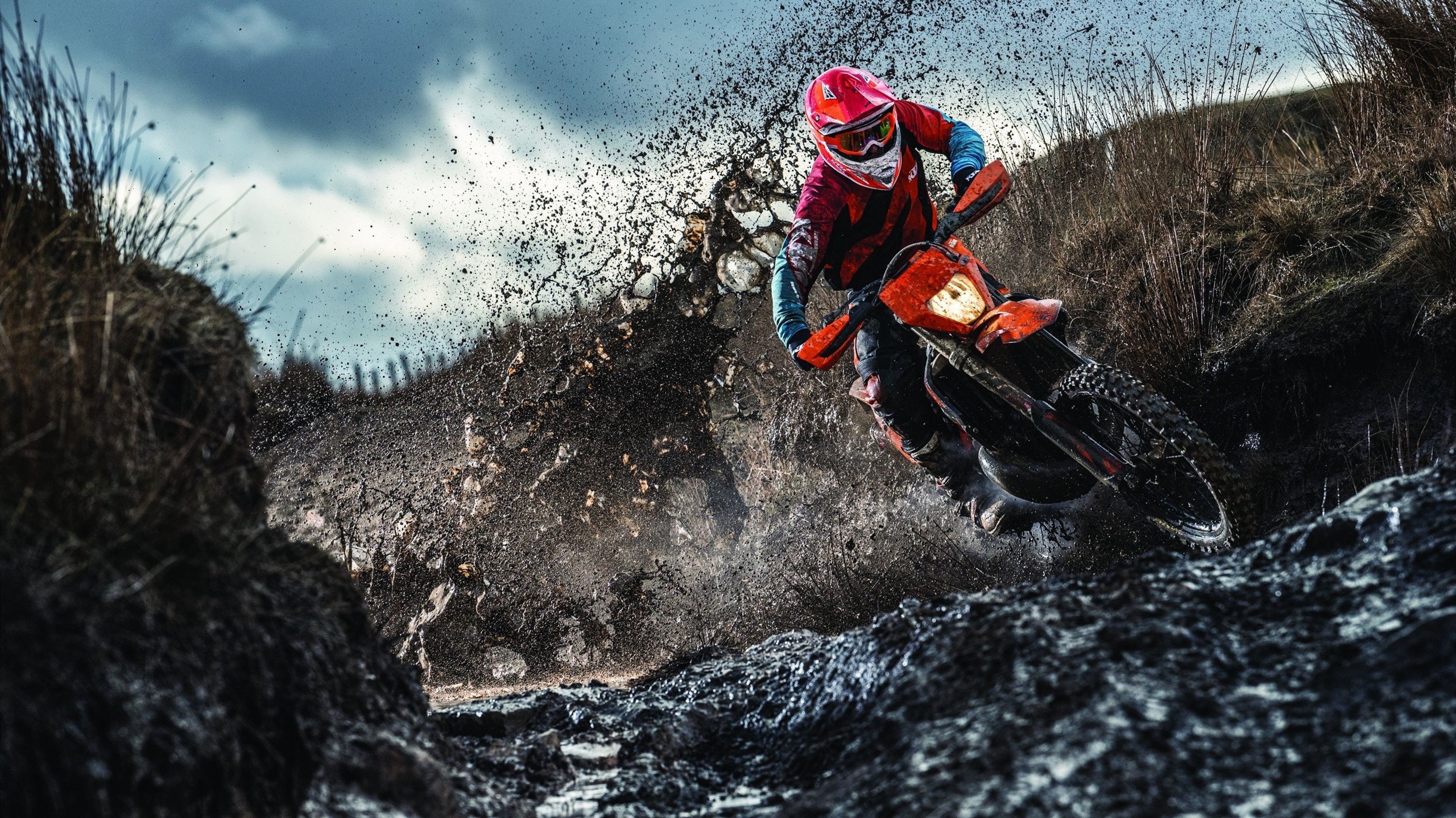 _未来运动云平台：虚拟社会中的全民互联_，未来云项目